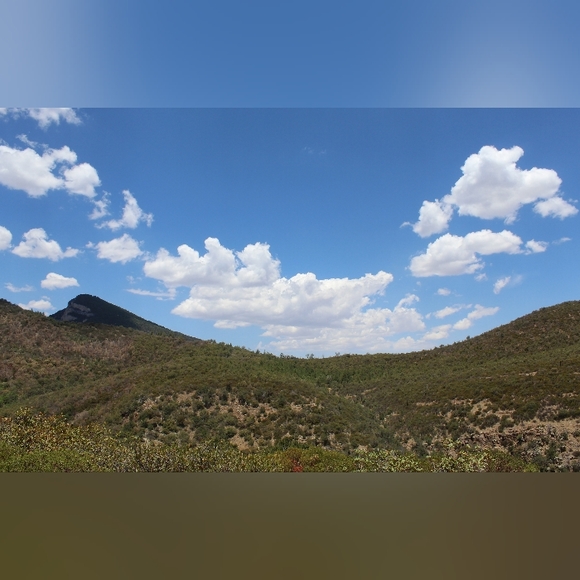 Meet your Posher, Courtney - Picture 1 of 2